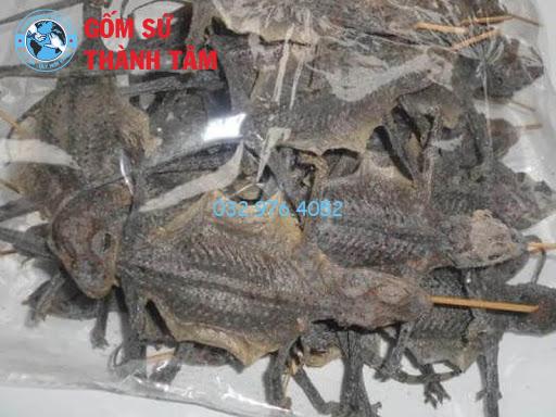 Chuẩn bị tắc kè để ngâm rượu