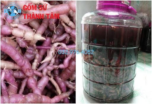 Thời gian ngâm rượu ít nhất 3 tháng để rượu tiết ra dưỡng chất