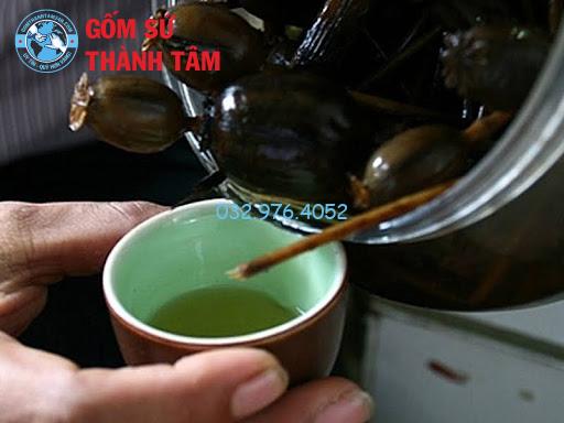 Bình rượu hoa anh túc: Công dụng, cách ngâm rượu chuẩn nhất