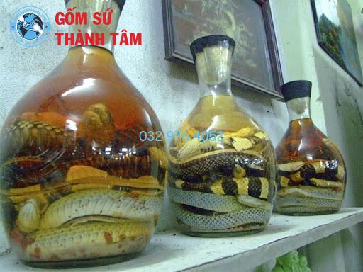 Các Loại Bình Rượu Rắn &#8211; Đặc Điểm Và Lựa Chọn Phù Hợp