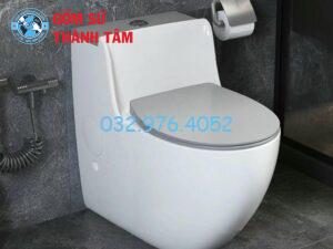 Hướng Dẫn Cách Lựa Chọn, Sử Dụng Và Bảo Quản Bồn Vệ Sinh