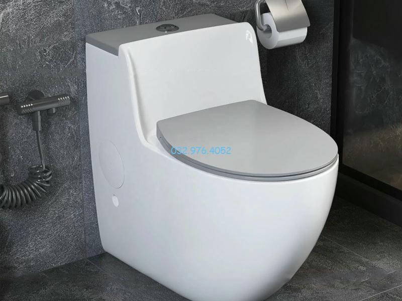 Hướng Dẫn Cách Lựa Chọn, Sử Dụng Và Bảo Quản Bồn Vệ Sinh Bồn vệ sinh là một thiết bị vệ sinh phổ biến
