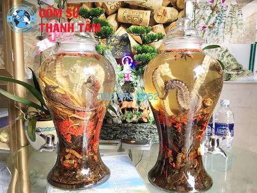 Cá ngựa ngâm rượu có tác dụng gì? Cách ngâm rượu chuẩn nhất