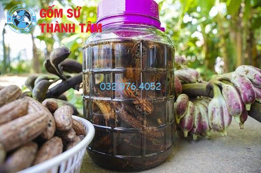Chuối Hột Ngâm Rượu Có Tác Dụng Gì? Cách Ngâm Rượu Thế Nào?