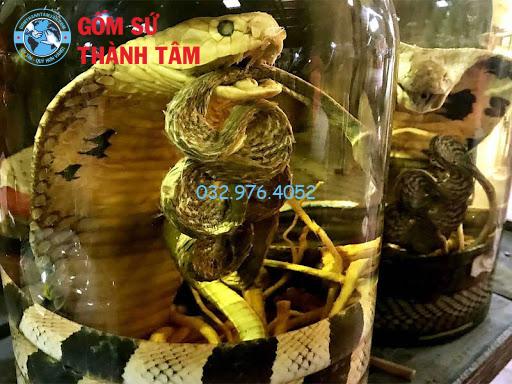 Bình gốm sứ được xem là lựa chọn tối ưu để ngâm rượu rắn hổ mang