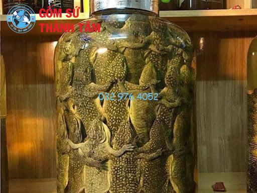 Tắc kè ngâm rượu: Công dụng, cách dùng và những lưu ý quan trọng