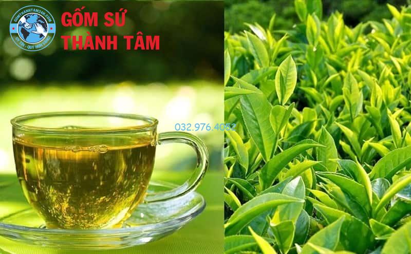 Trà có nhiều tác dụng tốt đối với sức khỏe